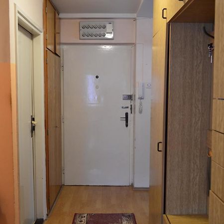 Apartman Nikolic ボル エクステリア 写真